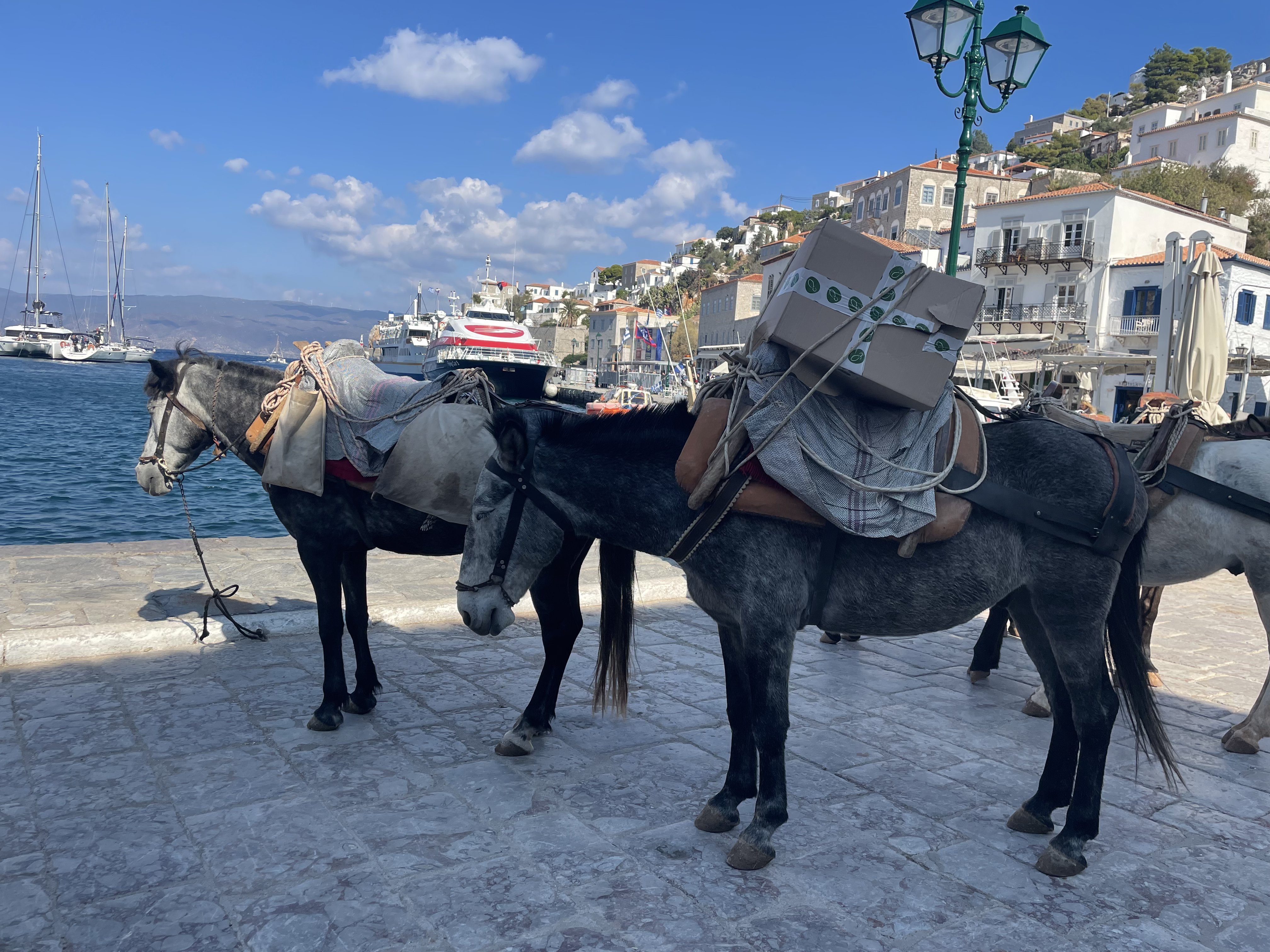 Grand Canyon Arizona boots